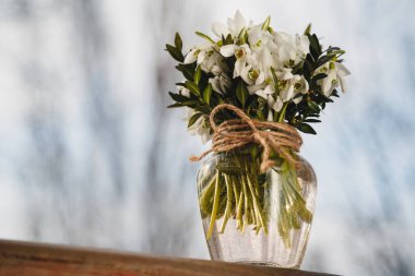 Dışarıdaki cam bir vazoda bir buket taze kar damlası. Bir demet çiçek. Galanthus nivalis.