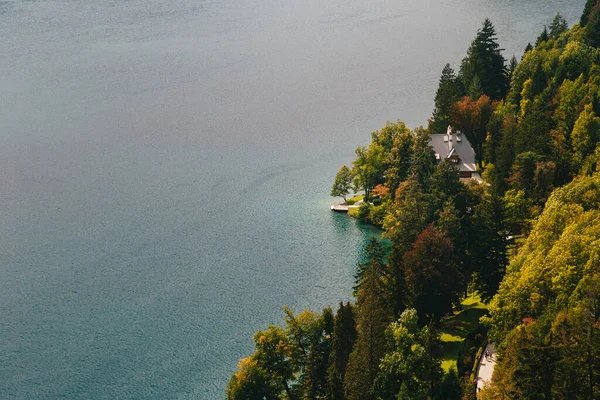 Close Aerial View Part Lake Bled Slovenia Small House Bank — Stockfoto