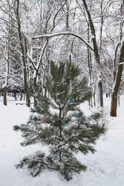 Snow Covered Pine Tree Some Christmas Toys Winter Park Snowy — Stock fotografie