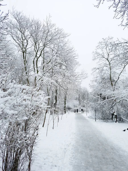 Snowy Winter City Park Snow Covered Trees Winter Park — Stockfoto