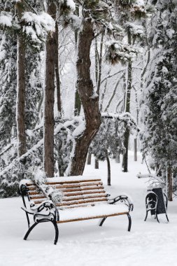 Bench in park with falling fir and pine trees after sleet load and heavy snow at the background. Snow-covered winter street in a city. Weather forecast concept. Snowy winter. Selective focus.