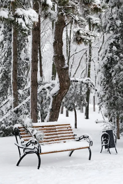 Bench in park with falling fir and pine trees after sleet load and heavy snow at the background. Snow-covered winter street in a city. Weather forecast concept. Snowy winter. Selective focus.