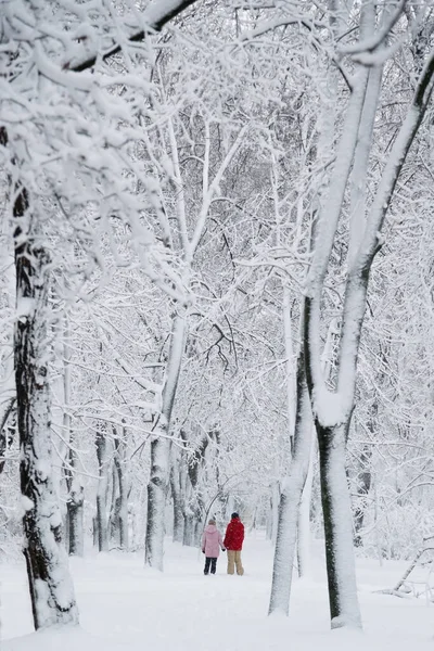 Couple Man Woman Holding Hands Together Snow Covered Winter Park — Foto de Stock