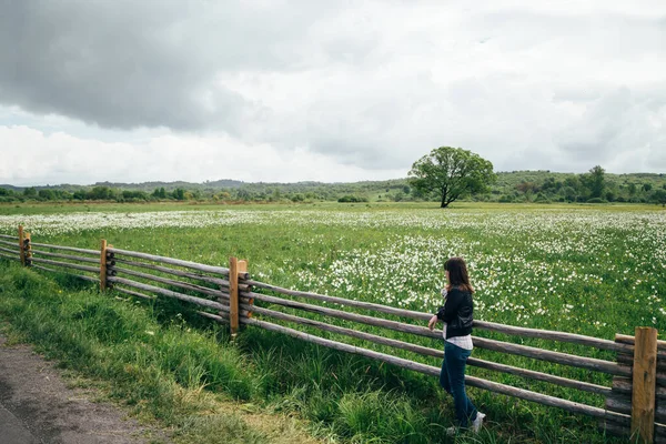 A tourist girl looking at flowering wild narrow leaf narcissus field in natural lowland habitat. Famous Narcissus Valley, international network of biosphere reserves by UNESCO. Ukraine
