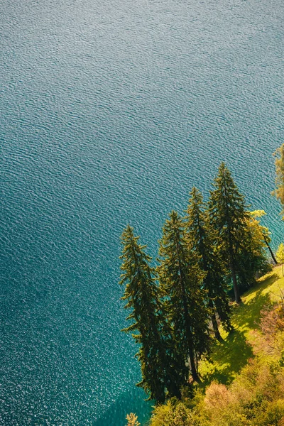 Close Aerial View Lonely Fir Trees Clear Blue Water Background — Stockfoto