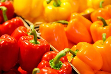 Colourful mix of different red, orange, yellow fresh bell pepper at market.