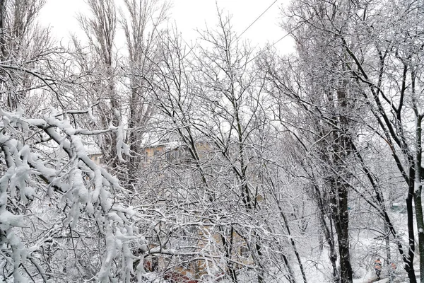 Verschneite Winterstraße Innenhof Der Stadt Mit Eis Und Schnee Bedeckte — Stockfoto