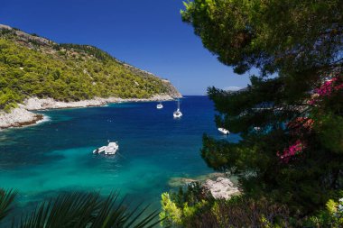 Asos köyünün yeşil, mavi körfezi, Yunan doğası ve turkuaz İyon Denizi suyu manzarası. Avrupa 'daki ünlü seyahat merkezinin yaz manzarası.