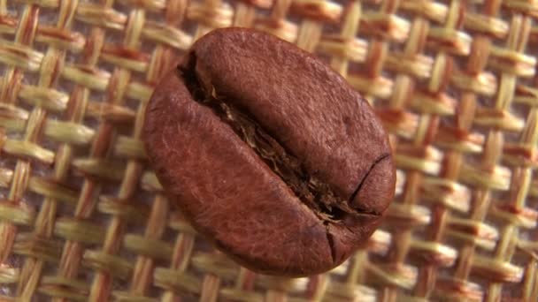 Extremt Makro Skott Roterande Kaffeböna Isolerad Strukturerad Bakgrund Italienskt Kaffe — Stockvideo