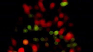 Çok renkli ve yanıp sönen ışıkları olan bulanık Noel ağacı. Noel kavramı. Sürgülü hareket.