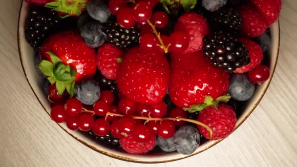 Macro Fruit Top View Different Types Organic Berries Red Fruit — Stock Video