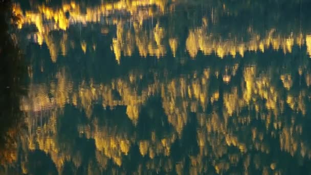 Bomen Weerspiegeld Het Water Bergmeer Met Turquoise Water Groene Gele — Stockvideo