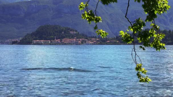 背景にベラジオとコモ湖の幻想的な景色 イタリア旅行 ストック映像
