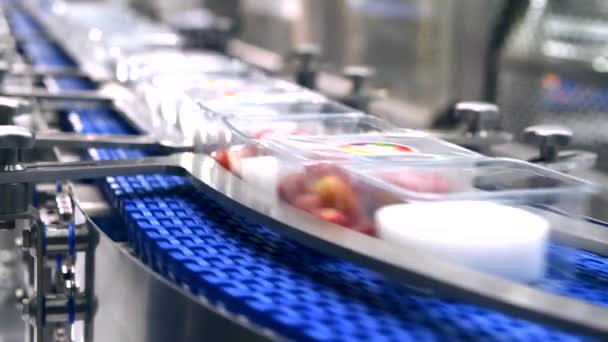 食品パッケージのための自動コンベアシステム産業オートメーション上のボックス転送 — ストック動画