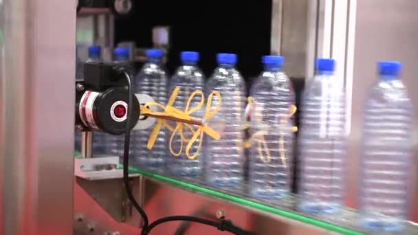 Heldere Plastic Flessen Overdracht Geautomatiseerde Transportsystemen Industriële Automatisering Voor Pakket — Stockvideo