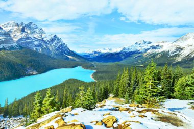 Banff Ulusal Parkı, Alberta, Kanada 'daki Peyto Gölü Bow Zirvesi' nden görüntü.