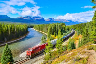 Sonbaharda Bow Valley 'deki ünlü Morant kavşağından geçen tren Banff Ulusal Parkı, Kanada Rocky Dağları, Kanada.