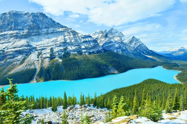 Banff Ulusal Parkı, Alberta, Kanada 'daki Peyto Gölü Bow Zirvesi' nden görüntü.