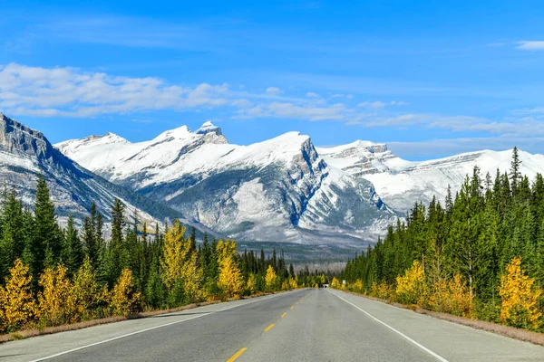 Carretera Hermosa Icefield Parkway Otoño Jasper Parque Nacional Canadá —  Fotos de Stock