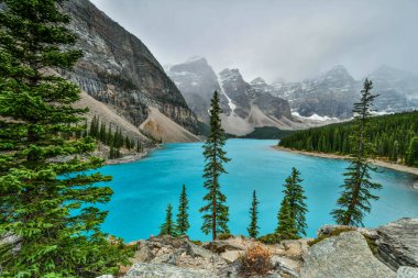 Moraine Gölü 'nün güzel turkuaz suları Banff Ulusal Parkı, Alberta, Kanada