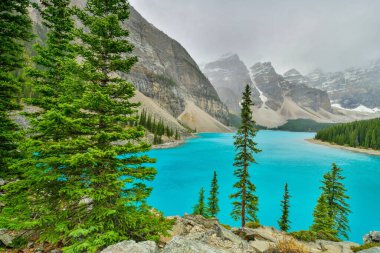 Moraine Gölü 'nün güzel turkuaz suları Banff Ulusal Parkı, Alberta, Kanada