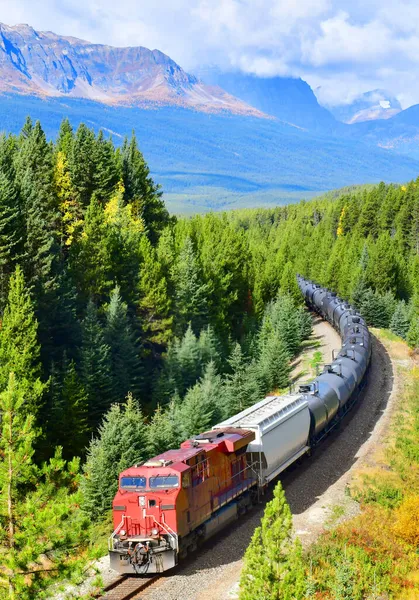 Sonbaharda Bow Valley 'deki ünlü Morant kavşağından geçen tren Banff Ulusal Parkı, Kanada Rocky Dağları, Kanada.