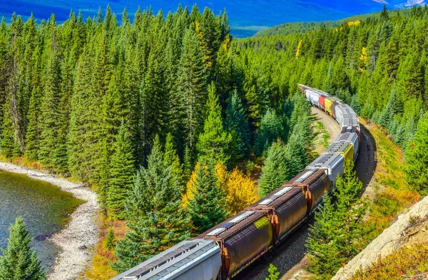 Trem Passando Famosa Curva Morant Bow Valley Outono Banff National — Fotografia de Stock