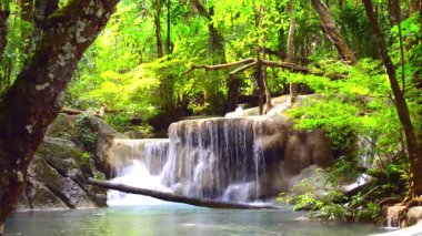 derin orman şelale erawan şelale Milli Parkı kanjanaburi Tayland at