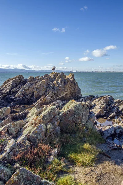 Peninsula Howth Head Dublin Seashore Cliffs Baías Rocks Landscape Dangerouse — Fotografia de Stock