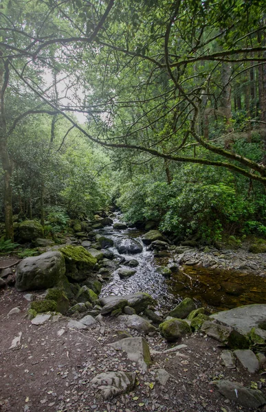 Park Narodowy Killarney Irlandia — Zdjęcie stockowe