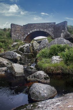 Glendalough, Wicklow Dağları 'nda, göllerde, ormanlarda, İrlanda' da geziniyor.