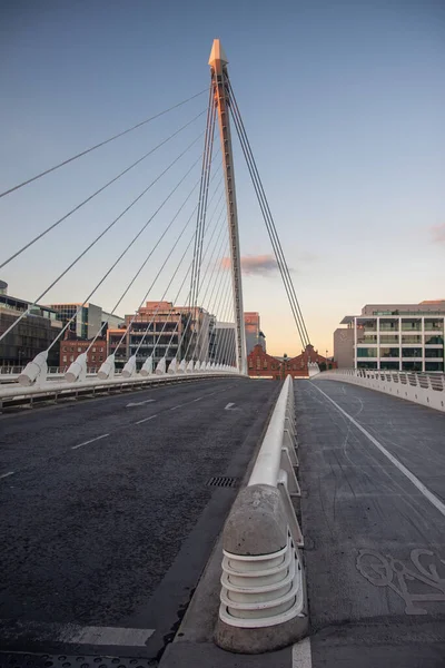 塞缪尔 贝克特桥 Samuel Beckett Bridge 可旋转公路桥 爱尔兰都柏林的斜拉桥 2016年7月18日 — 图库照片