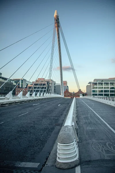 塞缪尔 贝克特桥 Samuel Beckett Bridge 可旋转公路桥 爱尔兰都柏林的斜拉桥 2016年7月18日 — 图库照片