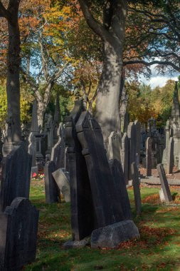  Glasnevin Cementery, Dublin objektiften, mezarlıkta, mezarlıkta, Dublin, İrlanda 'da, 24 Ekim 2015