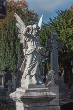  Glasnevin Cementery, Dublin objektiften, mezarlıkta, mezarlıkta, Dublin, İrlanda 'da, 24 Ekim 2015