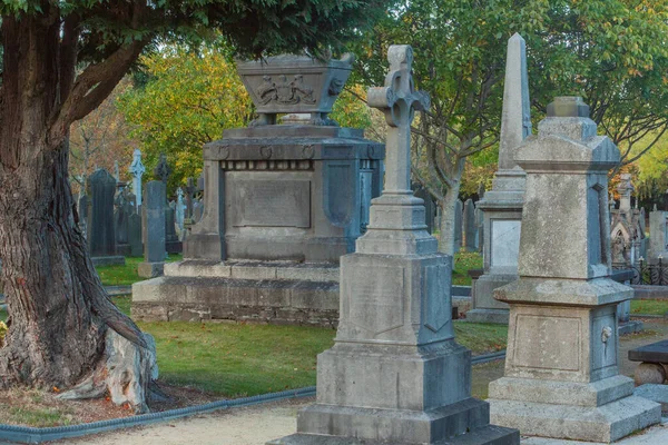 Glasnevin Cementery Dublin Genom Linsen Promenader Runt Kyrkogården Kyrkogårdar Dublin — Stockfoto