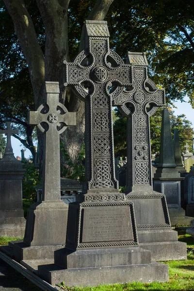 Glasnevin Cementery Dublin Genom Linsen Promenader Runt Kyrkogården Kyrkogårdar Dublin — Stockfoto