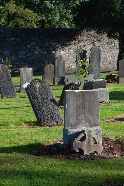 Glasnevin Cementery Dublin Genom Linsen Promenader Runt Kyrkogården Kyrkogårdar Dublin — Stockfoto