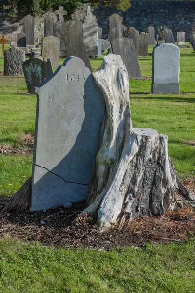 Glasnevin Cementery Dublin Lens Walking Cemetery Graveyard Avenues Dublin Ireland — Stockfoto