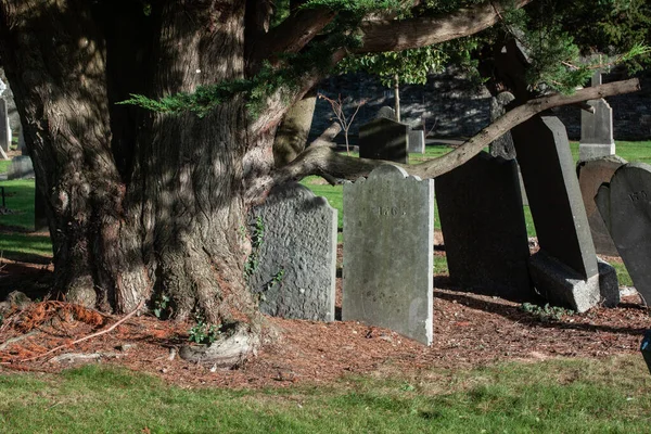 Glasnevin Cementery Dublin Lens Walking Cemetery Graveyard Avenues Dublin Ireland — Stockfoto