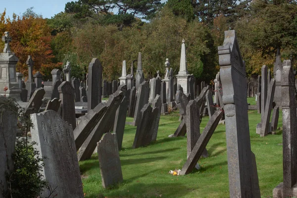 Glasnevin Cementery Dublin Genom Linsen Promenader Runt Kyrkogården Kyrkogårdar Dublin — Stockfoto