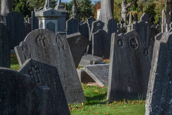 Glasnevin Cementery Dublin Lens Walking Cemetery Graveyard Avenues Dublín Irlanda —  Fotos de Stock