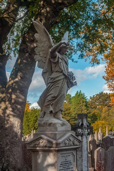 Glasnevin Cementery Dublin Lens Walking Cemetery Graveyard Avenues Dublin Ireland — Zdjęcie stockowe