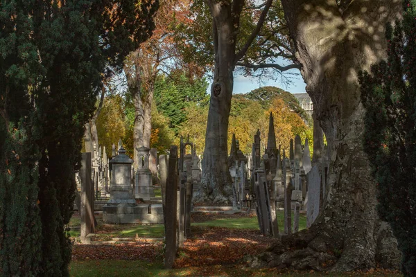 Glasnevin Cementery Dublin Lens Walking Cemetery Graveyard Avenues Dublín Irlanda —  Fotos de Stock