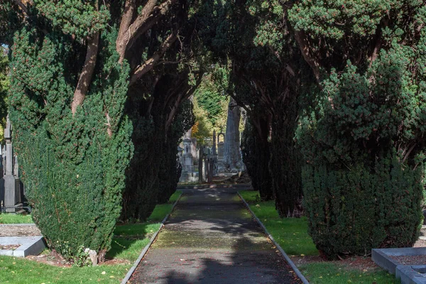 Glasnevin Cementery Dublin Genom Linsen Promenader Runt Kyrkogården Kyrkogårdar Dublin — Stockfoto