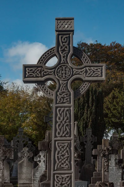 Glasnevin Cementery Dublin Genom Linsen Promenader Runt Kyrkogården Kyrkogårdar Dublin — Stockfoto