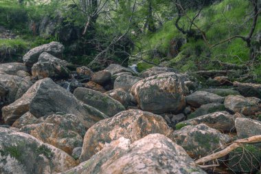 Wicklow Dağları Ulusal Parkı, Dublin İlçesi, İrlanda, Wickolw Dağları gölleri ve ormanları, İrlanda     