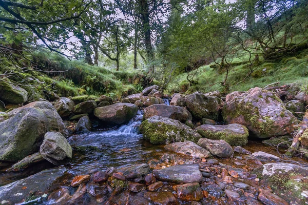 Wicklow Mountains National Park County Dublin Irlanda Vagando Pelos Lagos — Fotografia de Stock