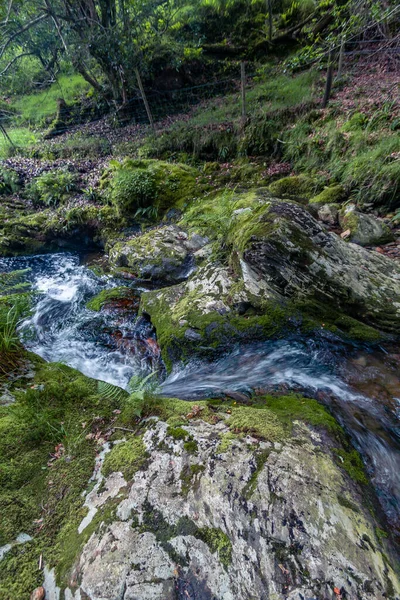 ウィックロー山脈国立公園 ダブリン州 アイルランド ウィックロー山脈の湖や森林 アイルランド — ストック写真
