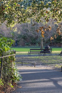 Şehir parkında tanınmamış insanlar yürüyor, tanınmayan kişi bankta oturuyor, St Stephens Green City Park, gün ışığında, Dublin, İrlanda